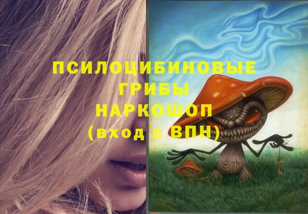 PSILOCYBIN Алексин