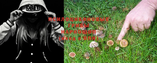 PSILOCYBIN Алексин